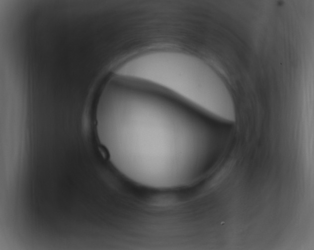 X0000101440252200807071033
