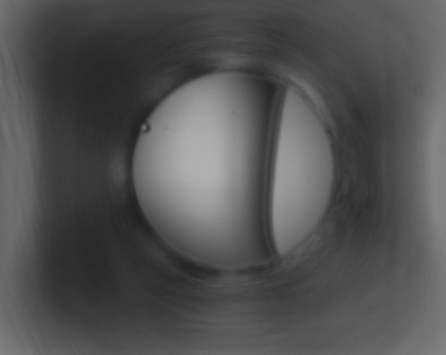 X0000101440257200807071033