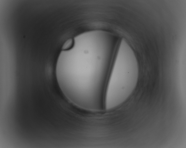 X0000101440258200807071033