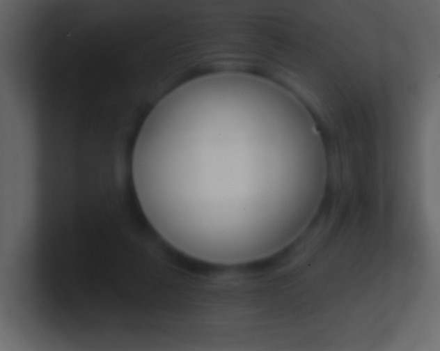 X0000101440259200807071033