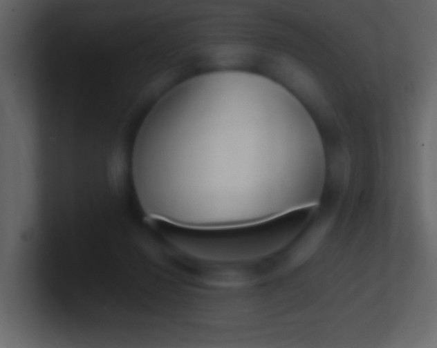 X0000101440260200807071033