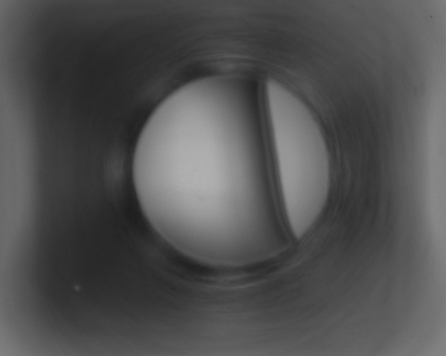 X0000101440263200807071033