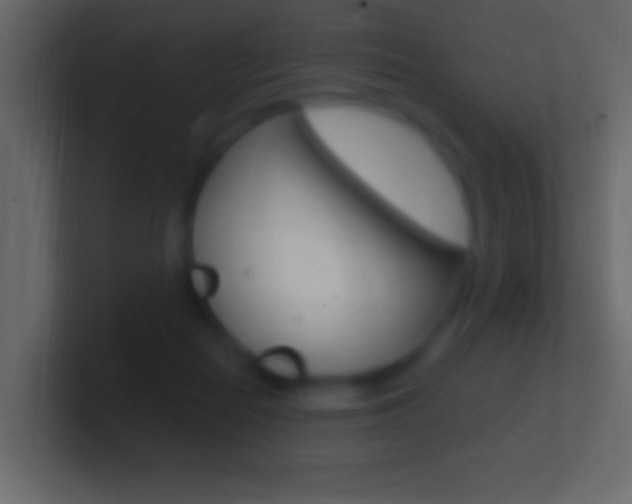X0000101440266200807071033