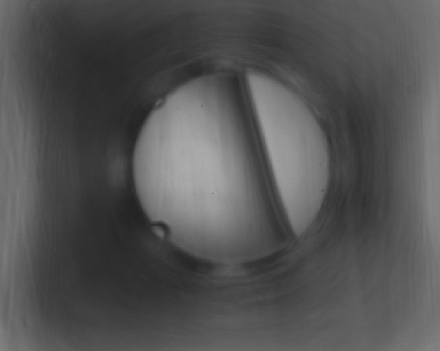 X0000101440269200807071033