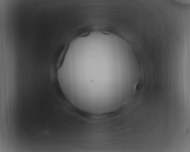 X0000101440272200807071033