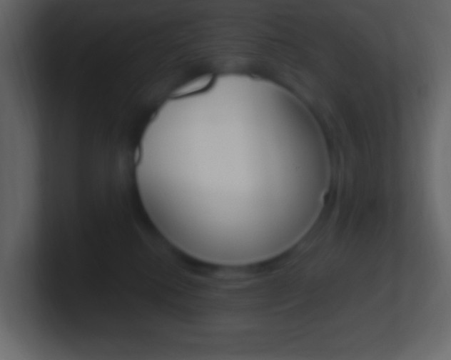 X0000101440280200807071033