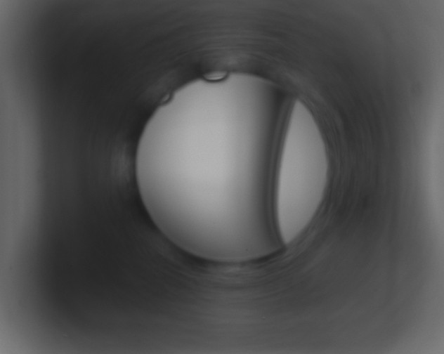 X0000101440282200807071033