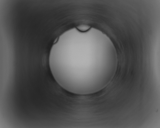 X0000101440283200807071033