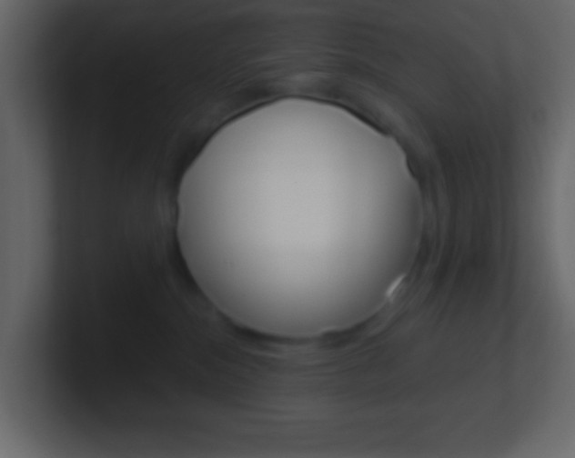 X0000101440284200807071033