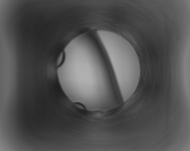 X0000101440285200807071033