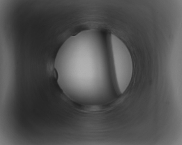 X0000101440288200807071033