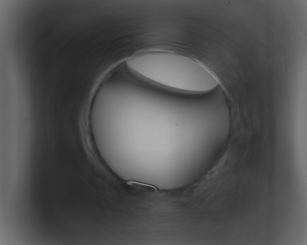 X0000101440289200807071033