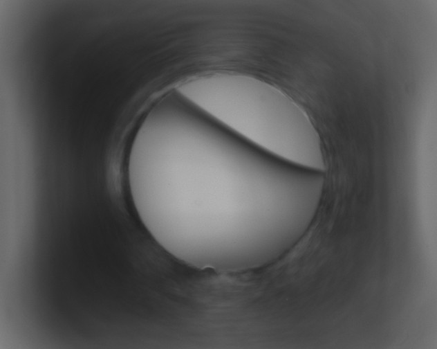 X0000101440290200807071032