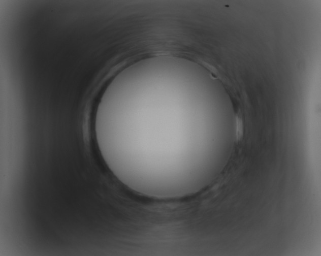X0000101440291200807071032