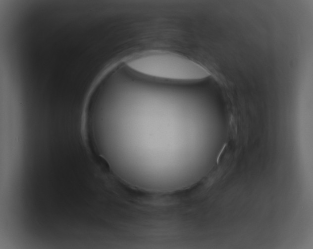 X0000101440292200807071032