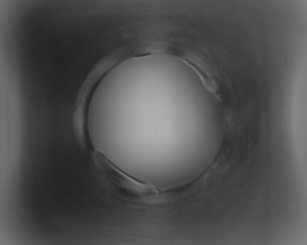 X0000101440293200807071032