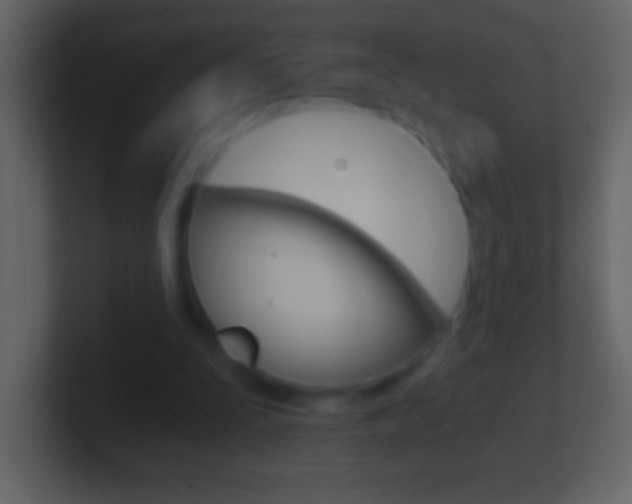 X0000101440295200807071032