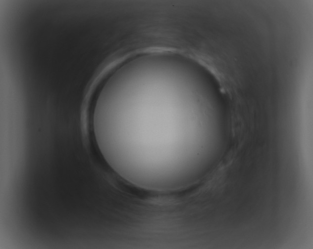 X0000101440296200807071032