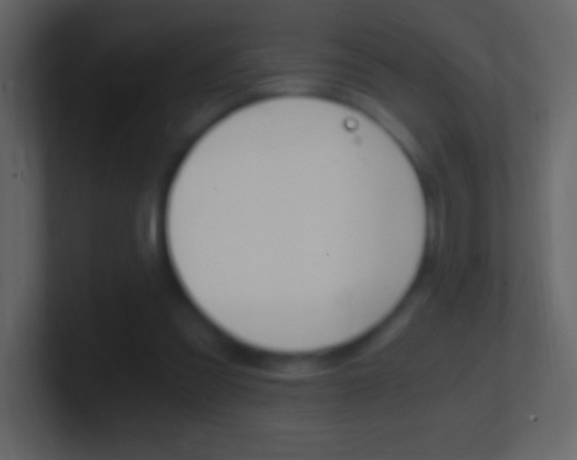 X0000101440301200807071032