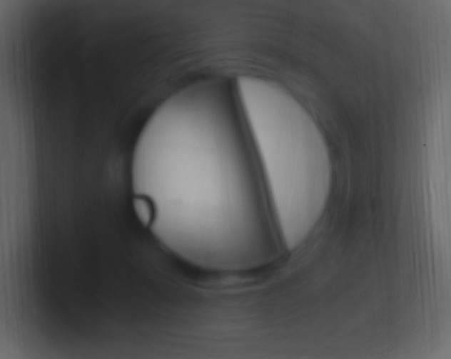 X0000101440319200807071032