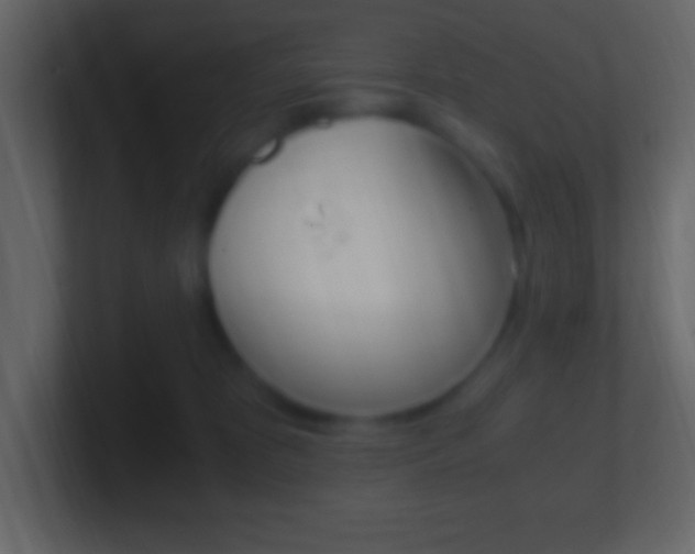 X0000101440325200807071032