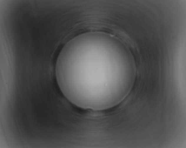 X0000101440327200807071032