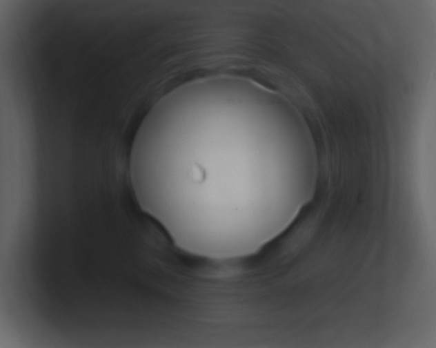X0000101440328200807071032