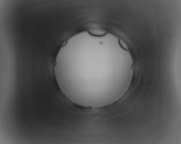 X0000101440330200807071032