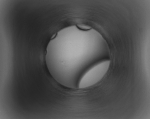 X0000101440331200807071032