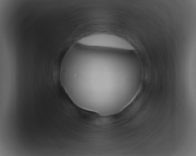 X0000101440332200807071032