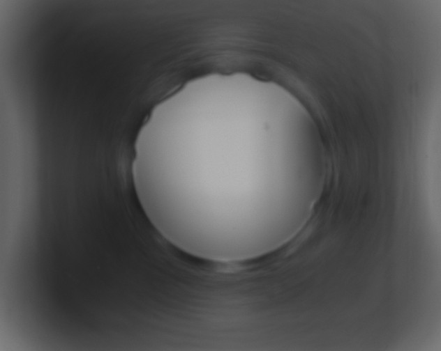 X0000101440333200807071032