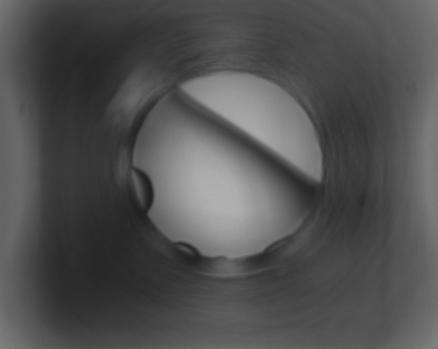 X0000101440335200807071032