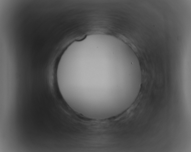 X0000101440338200807071031