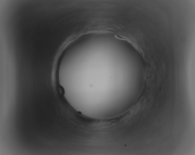 X0000101440340200807071031