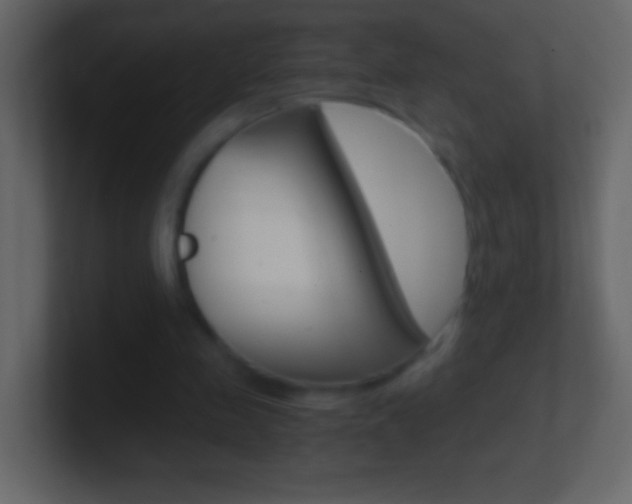 X0000101440341200807071031