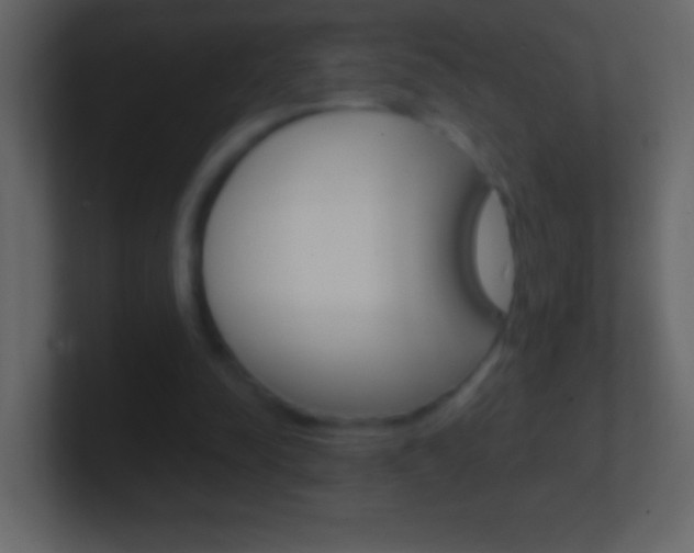 X0000101440342200807071031