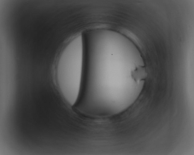 X0000101440345200807071031