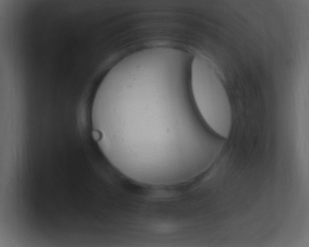 X0000101440347200807071031