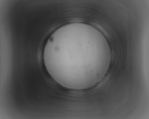 X0000101440351200807071031