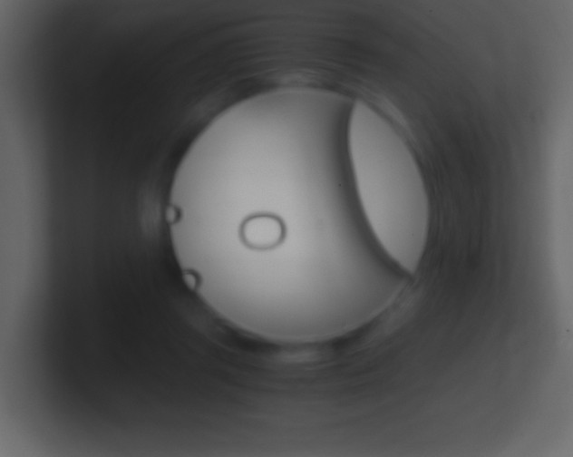 X0000101440357200807071032
