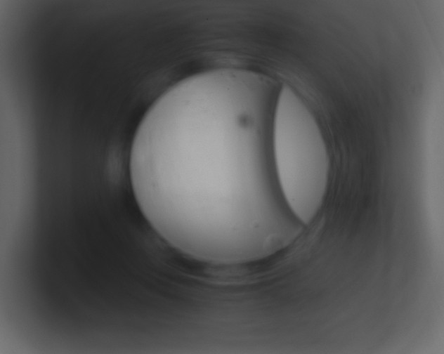 X0000101440359200807071032