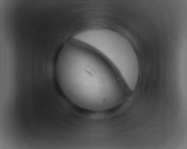 X0000101440362200807071032