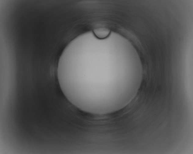 X0000101440369200807071032