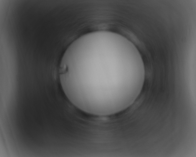 X0000101440374200807071032