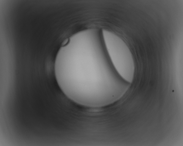 X0000101440375200807071032