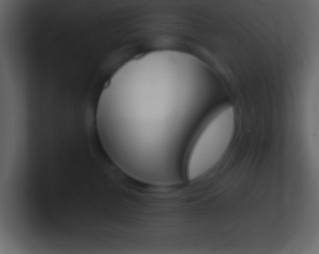 X0000101440380200807071032