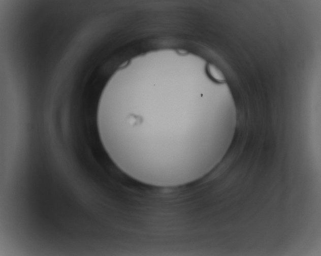 X0000101440382200807071032