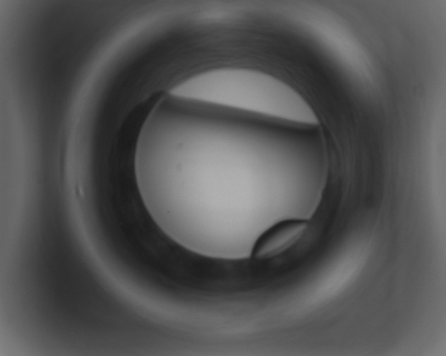 X0000101440383200807071032