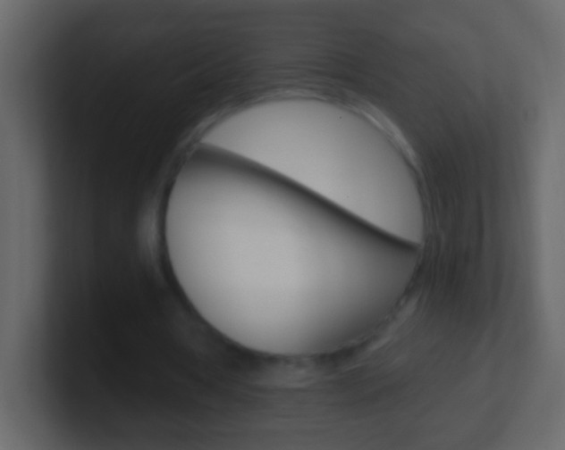 X0000101440386200807071031