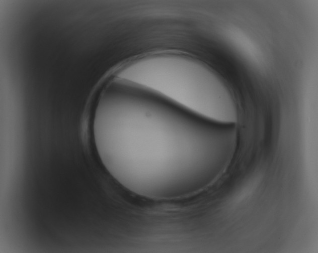X0000101440387200807071031